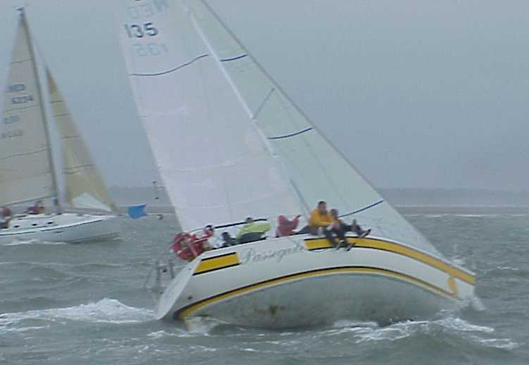 Closeup of Passeguele on a windy day